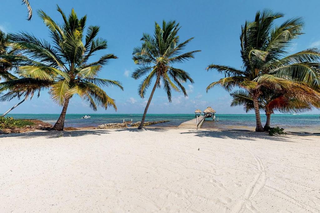 um grupo de palmeiras numa praia com o oceano em Caribe Island Studio #2 em Cidade de Belize