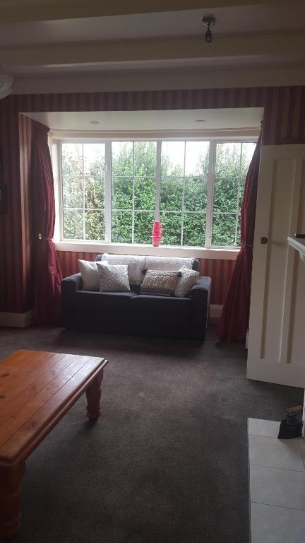 a living room with a couch in front of a window at 64Lewis in Invercargill