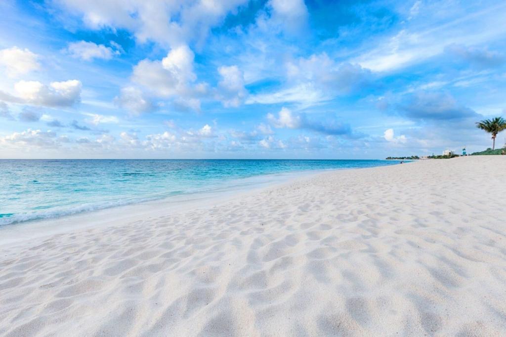 een zandstrand met een palmboom en de oceaan bij White Sands Anguilla - Sea in Blowing Point Village