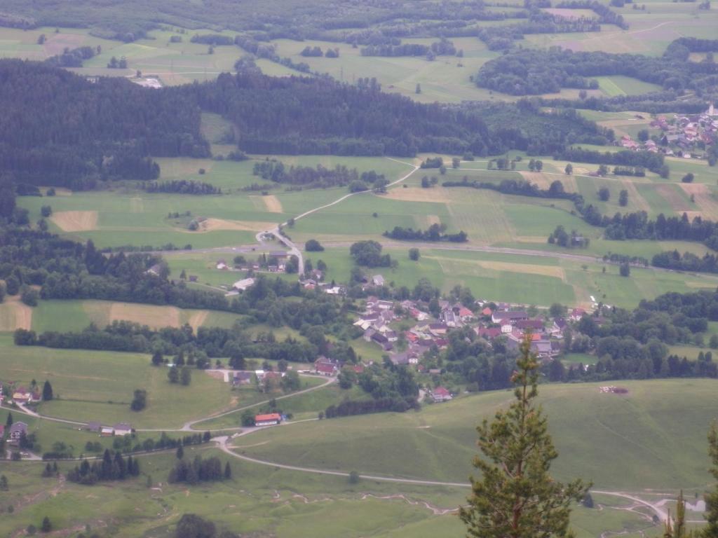 Příroda nedaleko apartmánu