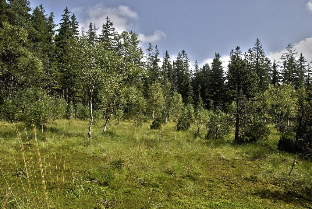 Příroda nedaleko apartmánu