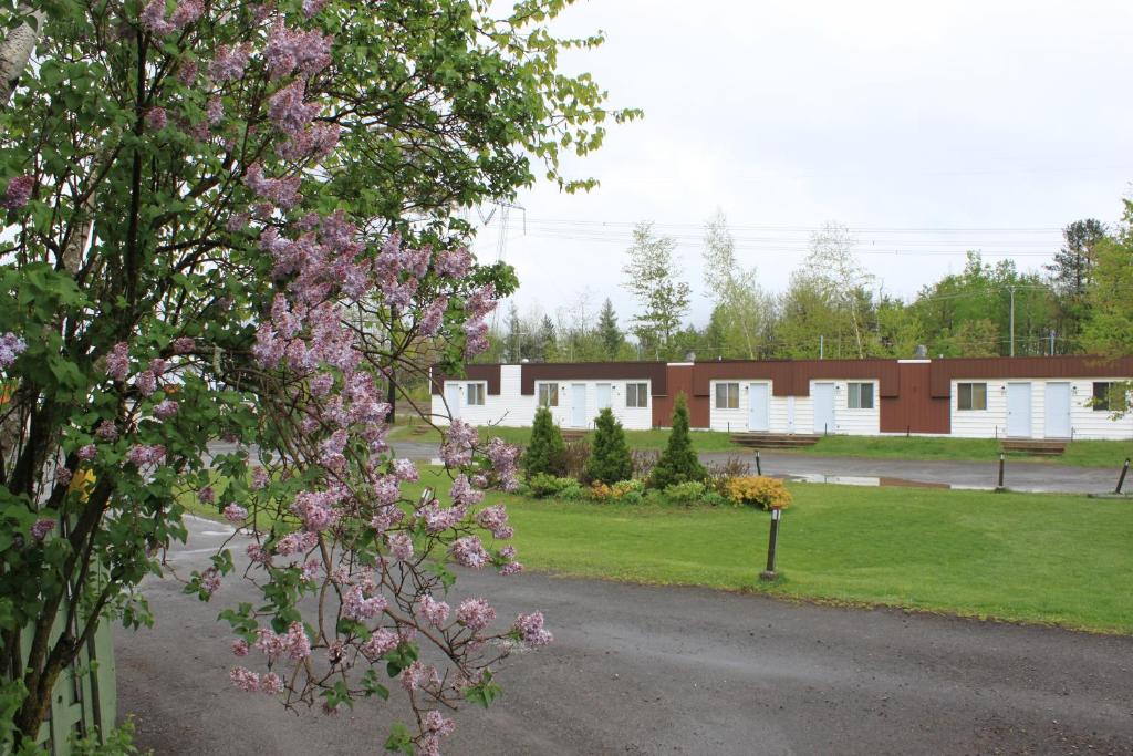 un árbol con flores rosas delante de un edificio en Motel Boisé, en Blainville