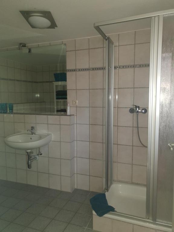 Koupelna v ubytování Apartment