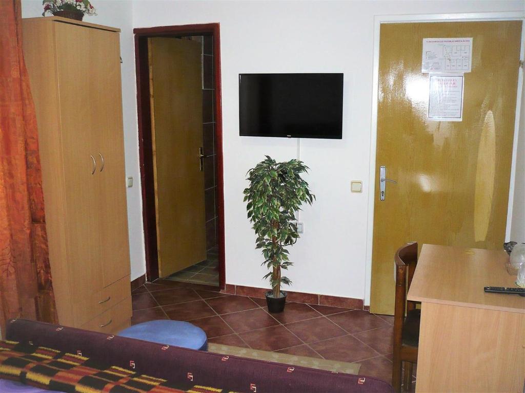 TV a/nebo společenská místnost v ubytování Motel Stara Vrba