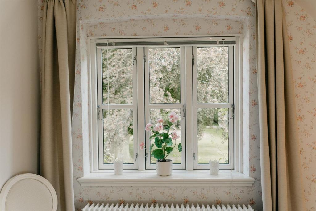Zahrada ubytování Jungshoved Præstegård B&B