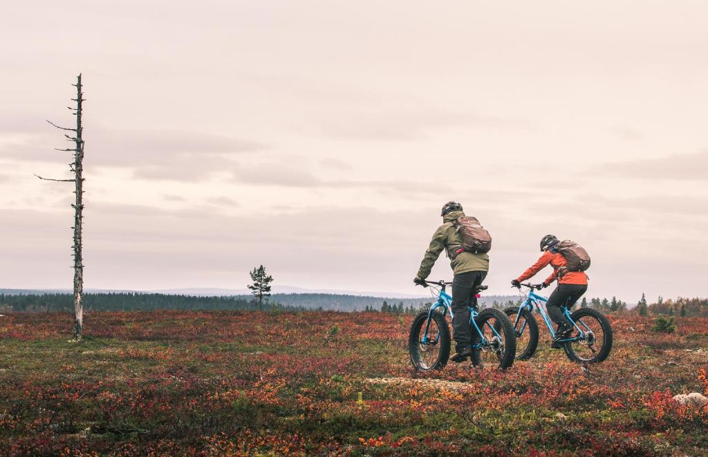 Hosté ubytování Lapland Hotels Luostotunturi & Amethyst Spa