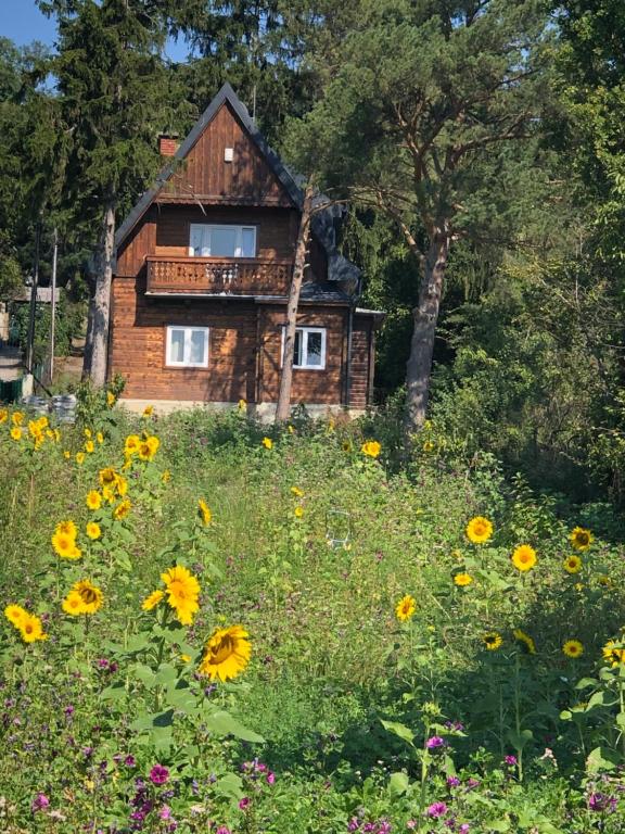 ein Haus inmitten eines Blumenfeldes in der Unterkunft Vacationhome in the vineyards in Wien