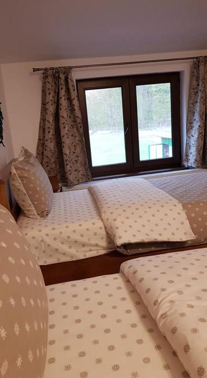 Pensiunea Turistica VALEA MIERII - Zweibettzimmer