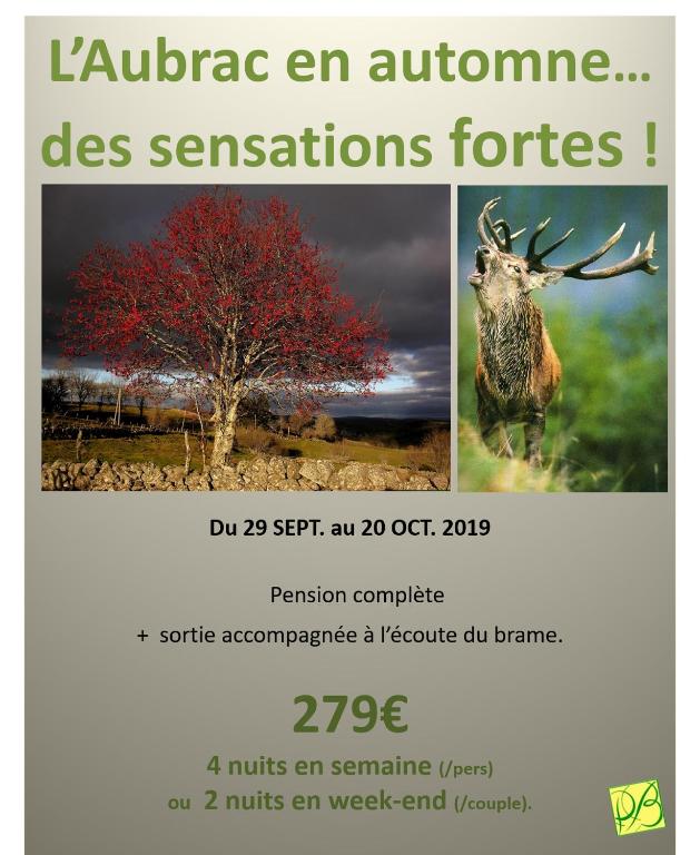 Hôtel La Randonnée - Tweepersoonskamer - Deer Brame Pack