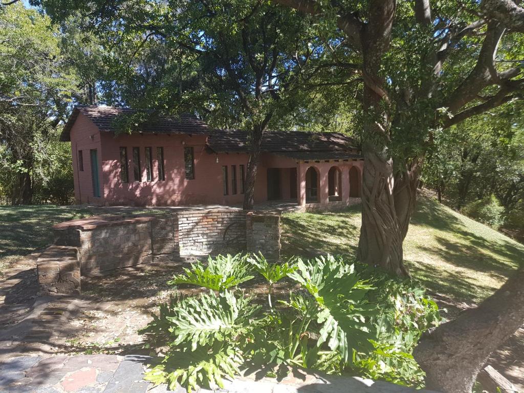 Kwekwe的住宿－Nyangombe Backpackers，前面有树和植物的房子