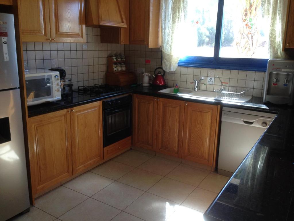 Kuchyň nebo kuchyňský kout v ubytování Astrofegia Beachfront Villa