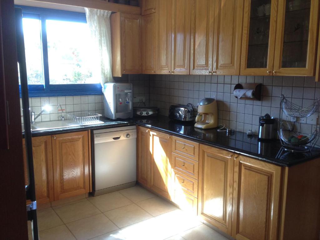 Kuchyň nebo kuchyňský kout v ubytování Astrofegia Beachfront Villa