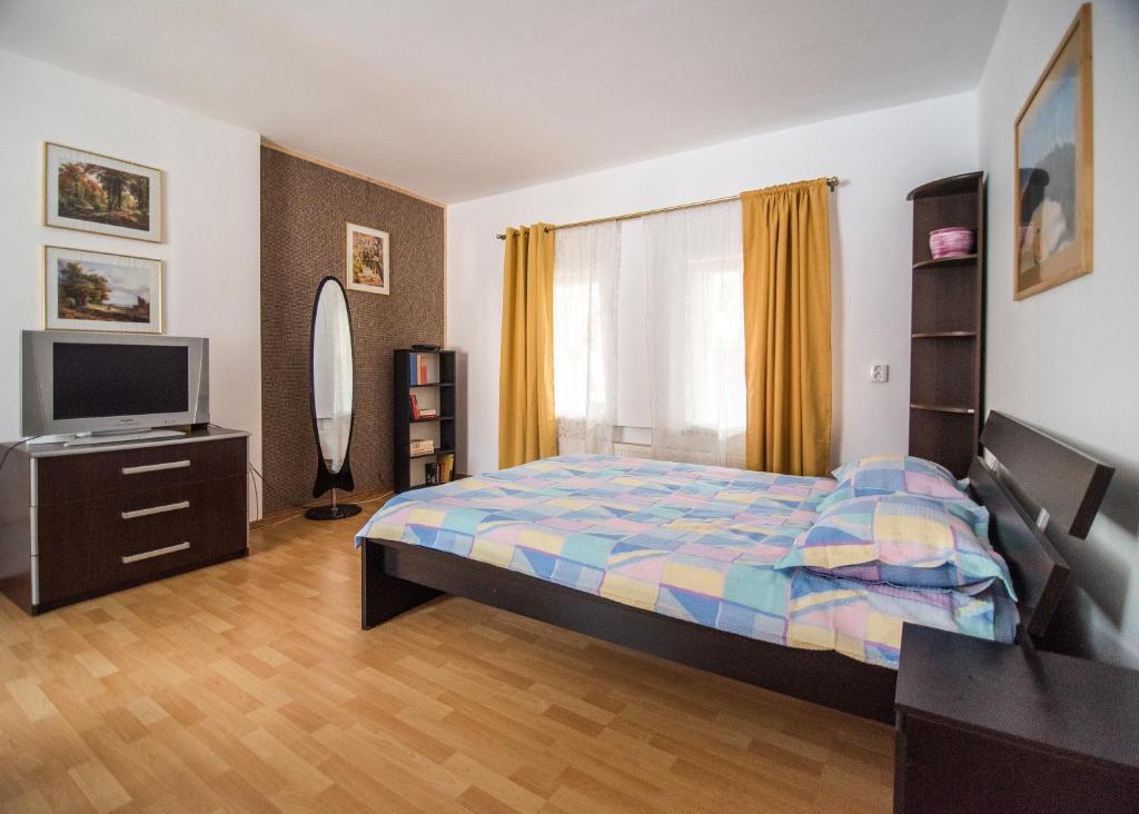 TV a/nebo společenská místnost v ubytování Transylvania Guest House