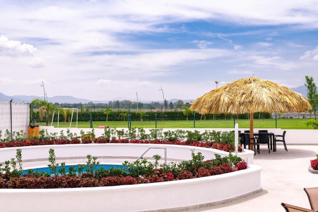 Zahrada ubytování Hotel Splash Inn