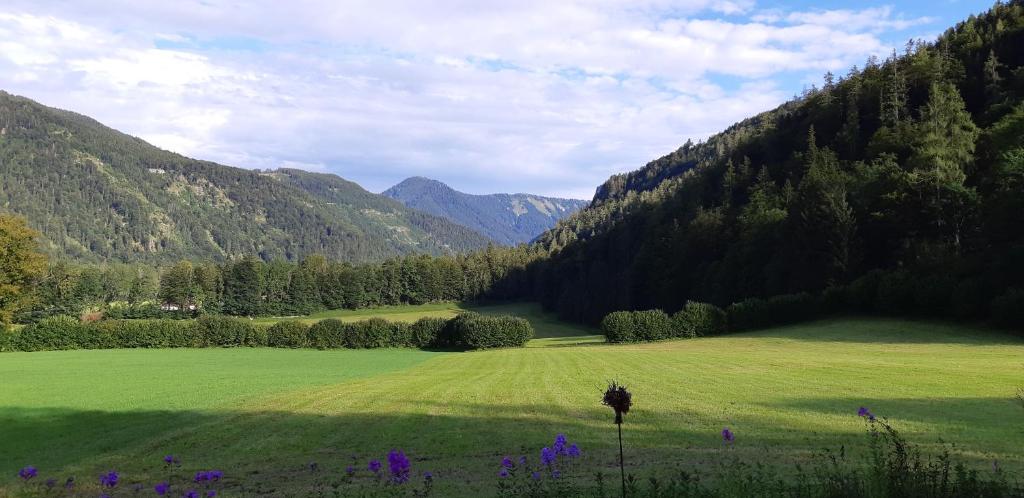 Príroda v okolí dovolenkového domu