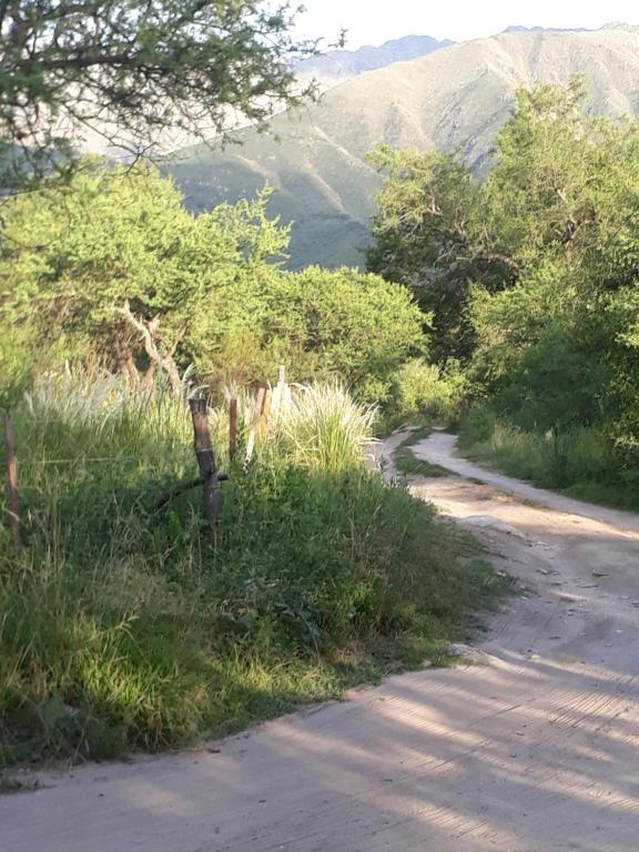 un camino de tierra con árboles a un lado. en Mainame Traslasierra en Los Hornillos