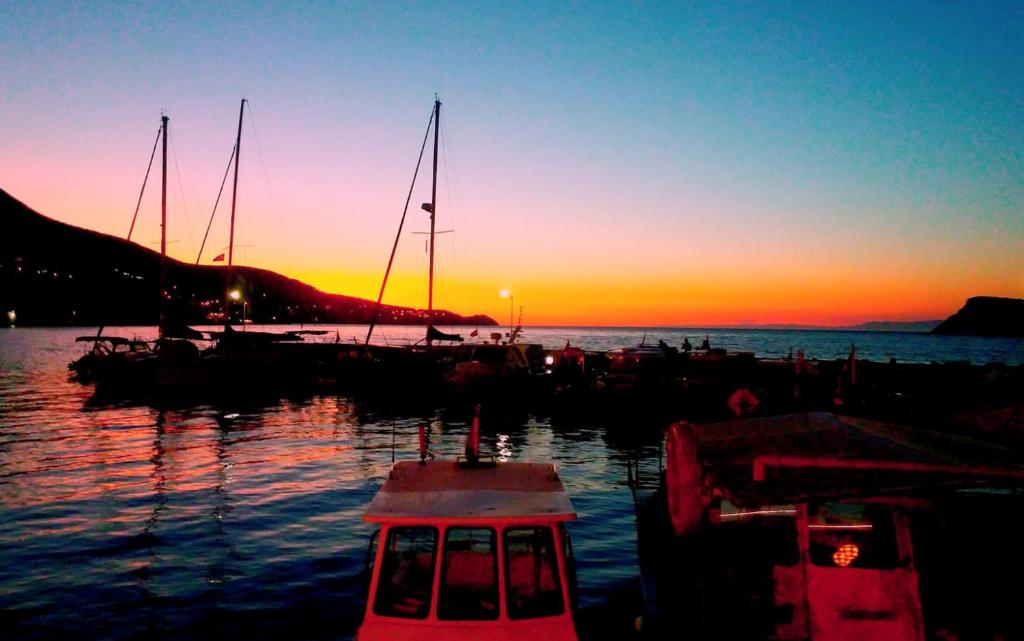 a group of boats docked at a dock at sunset at Hayalbaz in Izmir