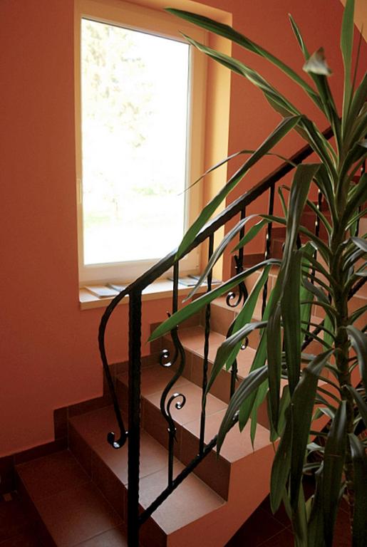 Fotografia z galérie ubytovania Kondics Apartmanház v destinácii Sárvár