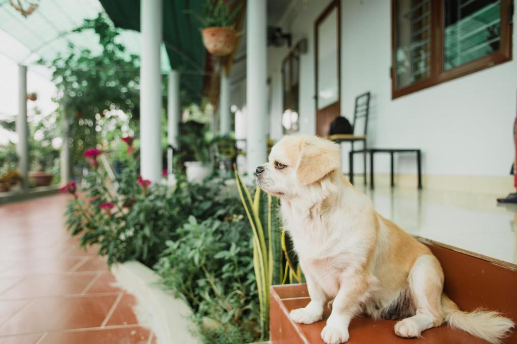 Tre Xanh Homestay - 18