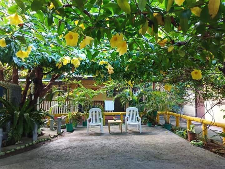 Zahrada ubytování Enna's Place