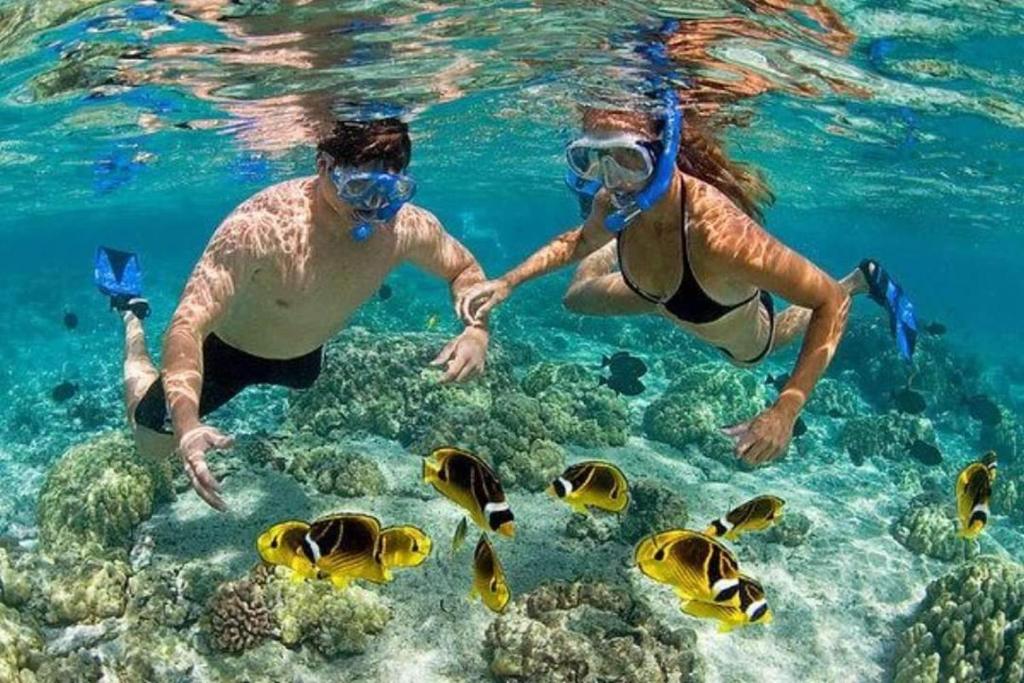 Gestir sem dvelja á Hotel Dolphin Hikkaduwa