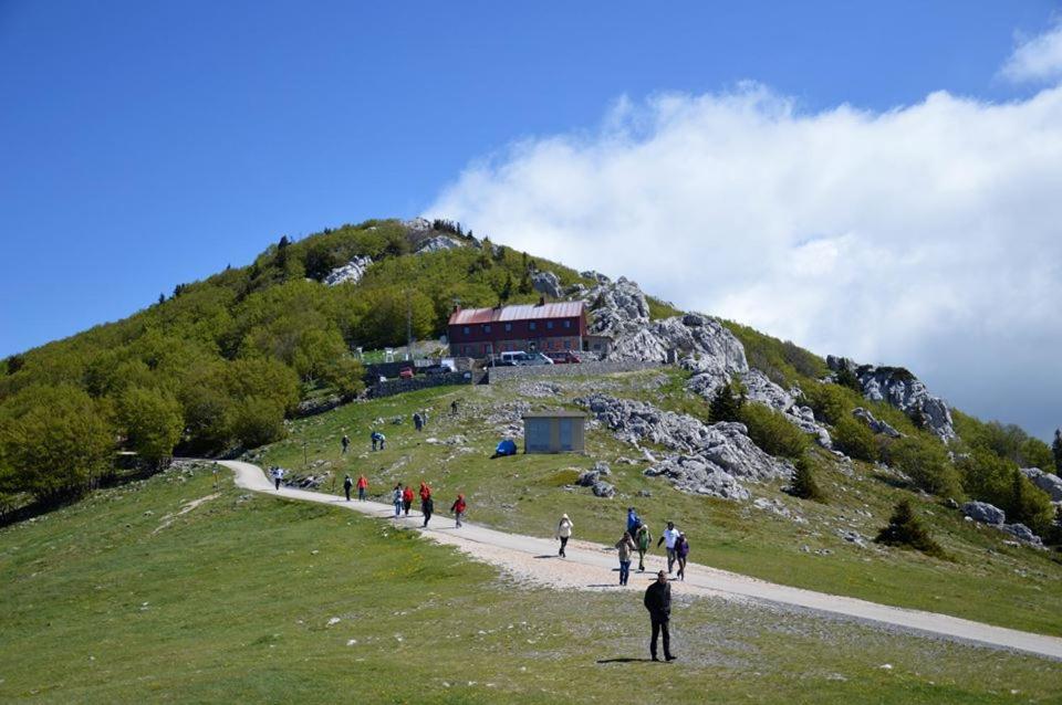 Príroda v okolí apartmánu
