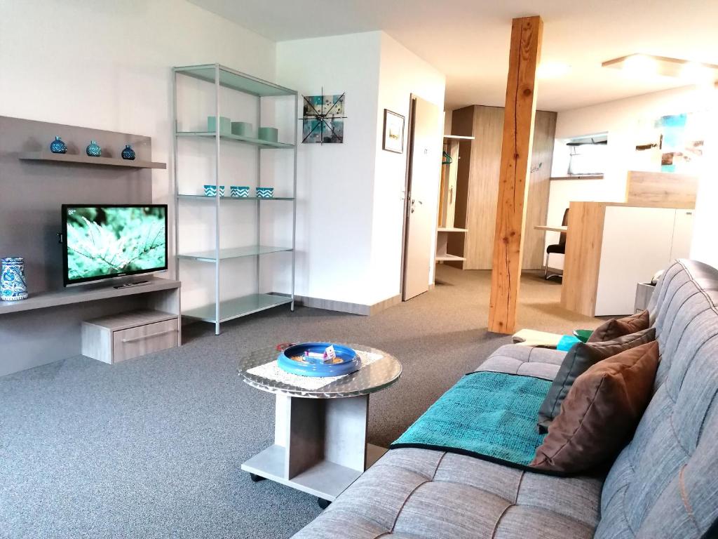 Televízia a/alebo spoločenská miestnosť v ubytovaní Business Apartments