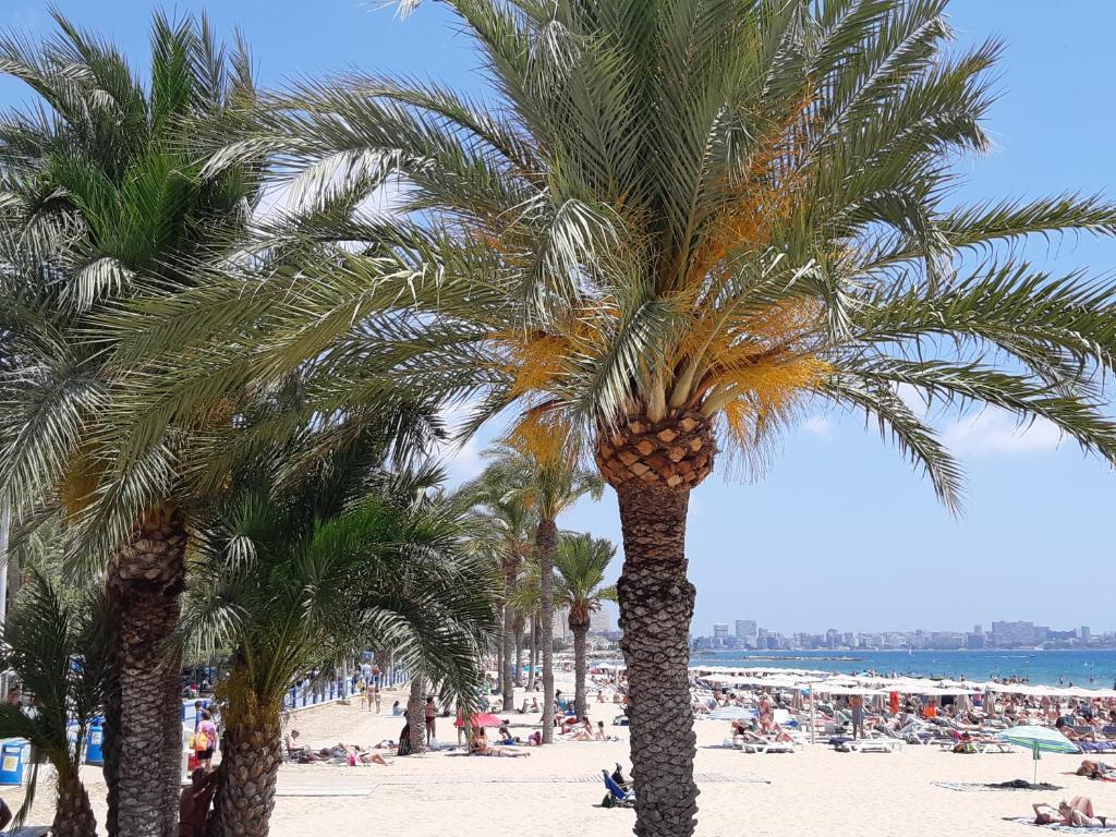 Wonderful Apartment in the Center by the Sea, Alicante ...