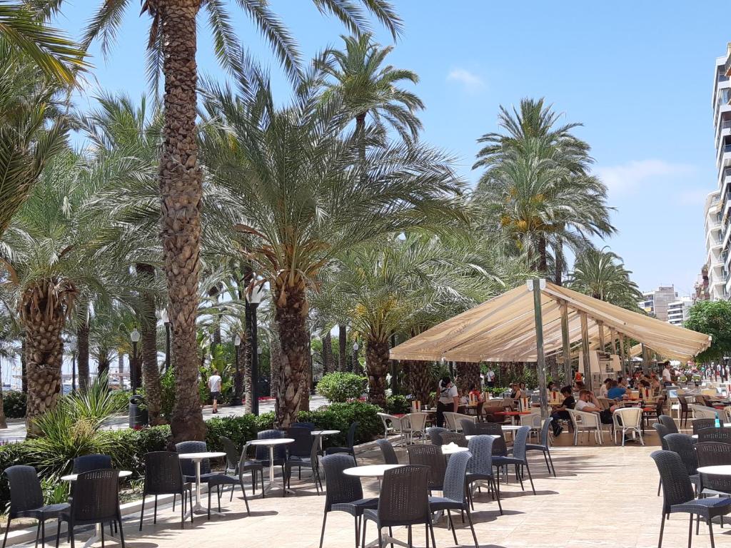 Wonderful Apartment in the Center by the Sea, Alicante ...