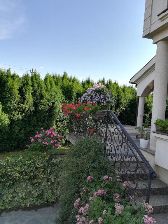 Zahrada ubytování Vila Sentić