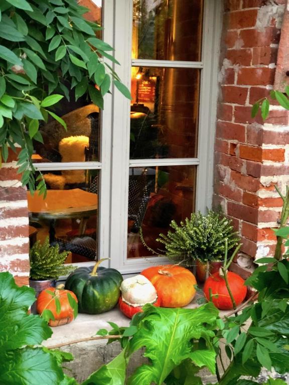 La Cour Sainte Catherine demeure de charmeにある庭
