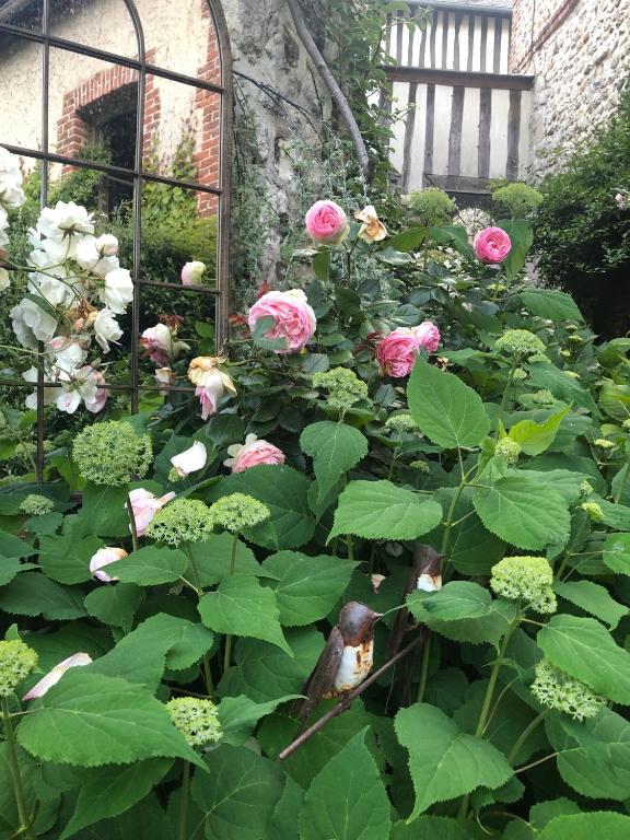 La Cour Sainte Catherine demeure de charmeにある庭