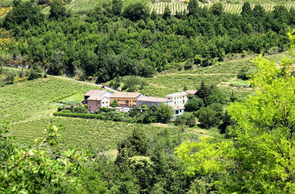 widok z góry na dom w winnicy w obiekcie Casa Re - B&B e Vino a Montabone w mieście Montabone