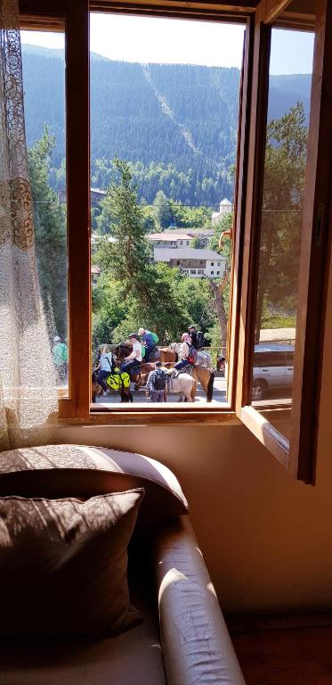 Paesaggio naturale nelle vicinanze dell'affittacamere