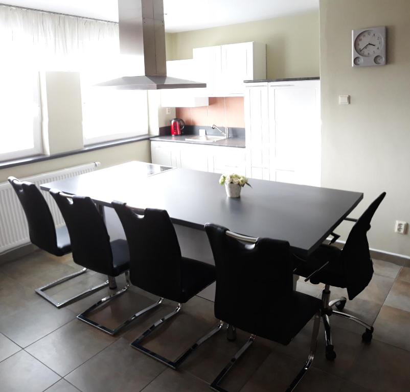 Kuchyň nebo kuchyňský kout v ubytování Apartmán Lidická