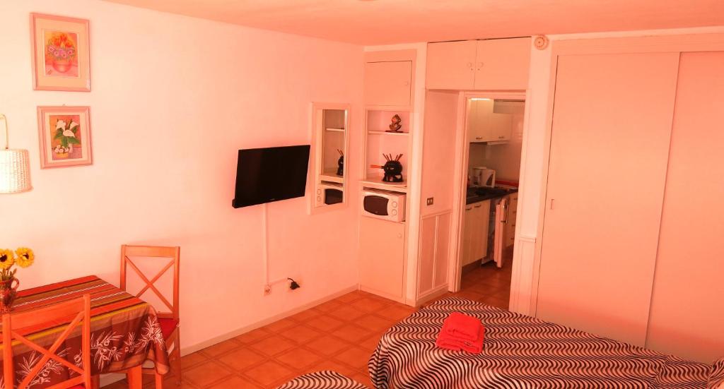 TV a/nebo společenská místnost v ubytování Studio in perfect location