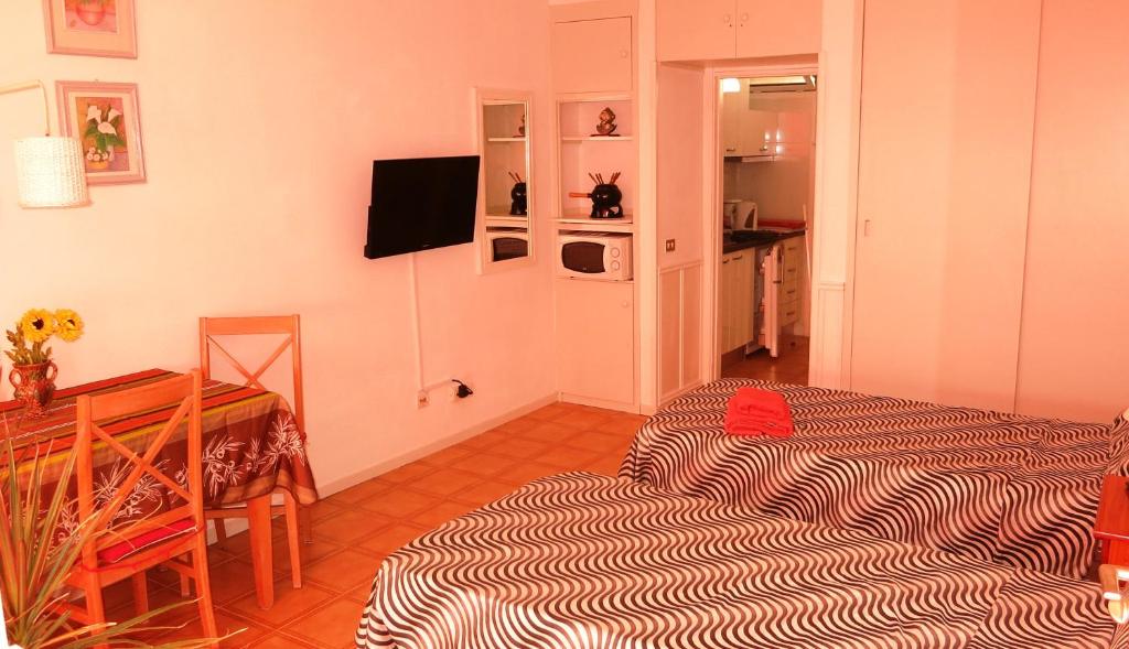 TV a/nebo společenská místnost v ubytování Studio in perfect location