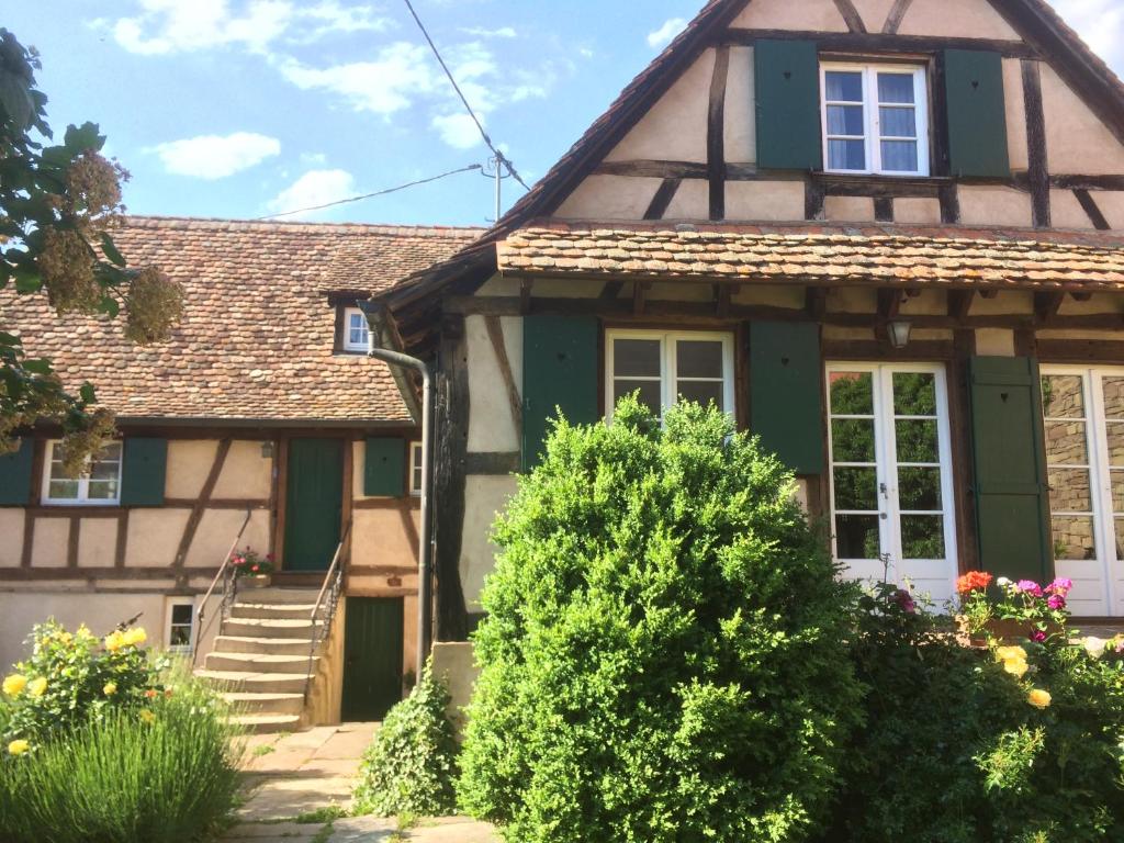 a house with a green and white at Gîte Les Chotzi's in Maennolsheim