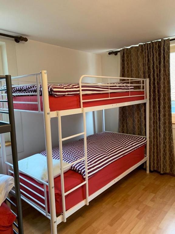 a bedroom with two bunk beds in a room at Friendly Hostel Zürich in Zürich