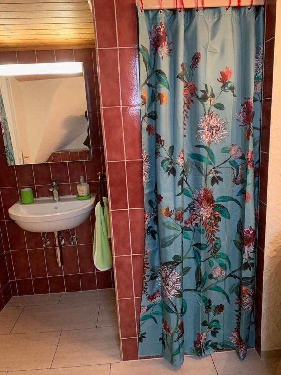 Friendly Hostel Zürich - Resim 3