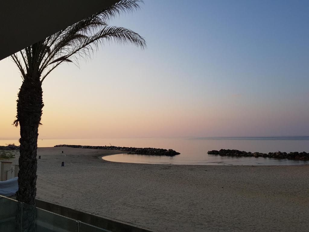 a palm tree on the beach at sunset at Sea House Tonnara in Sciacca