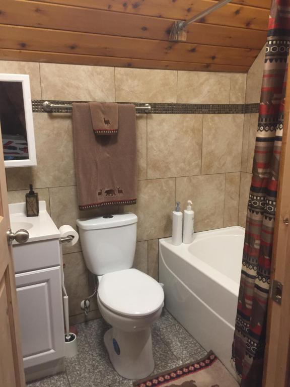 a bathroom with a toilet and a tub and a sink at The Old Church B&B in Warner