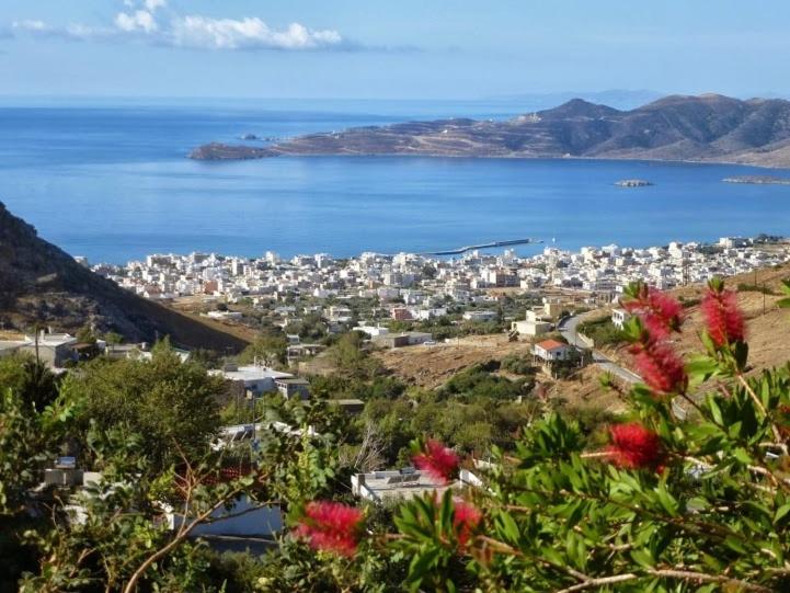 a town on a hill with the water and flowers at Makronas Apartments in Karistos