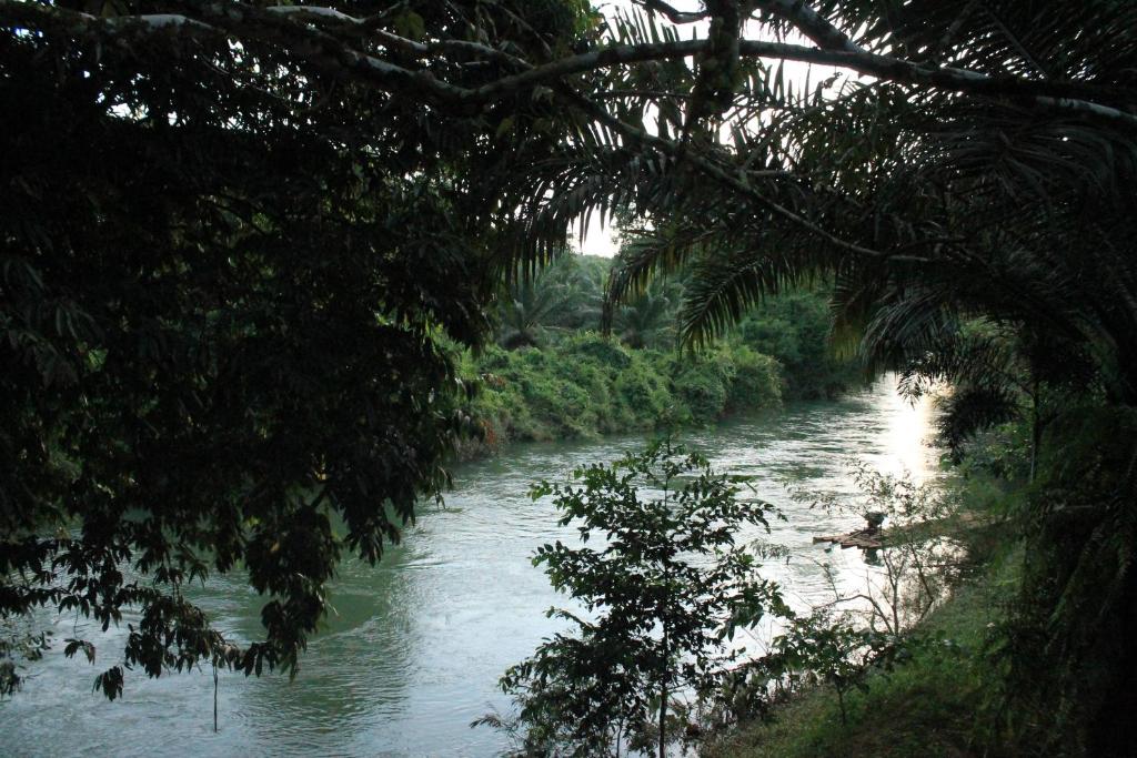 Khaosok River Camp - 13