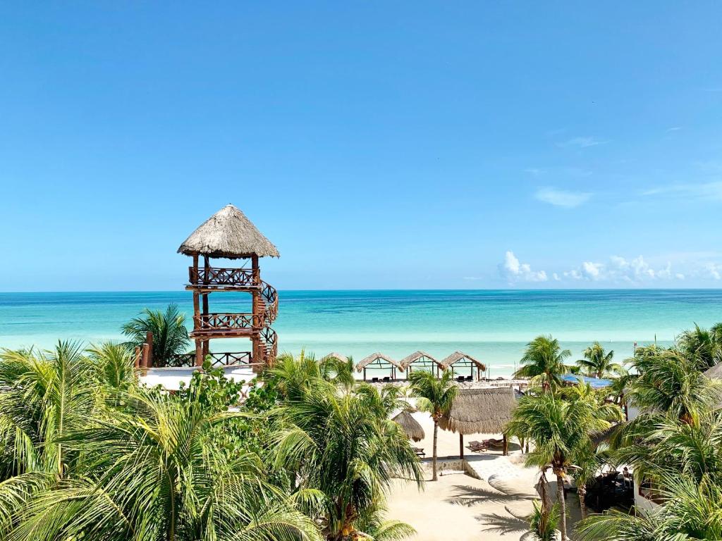 a view of the beach and the ocean at Palapas del Sol in Holbox Island