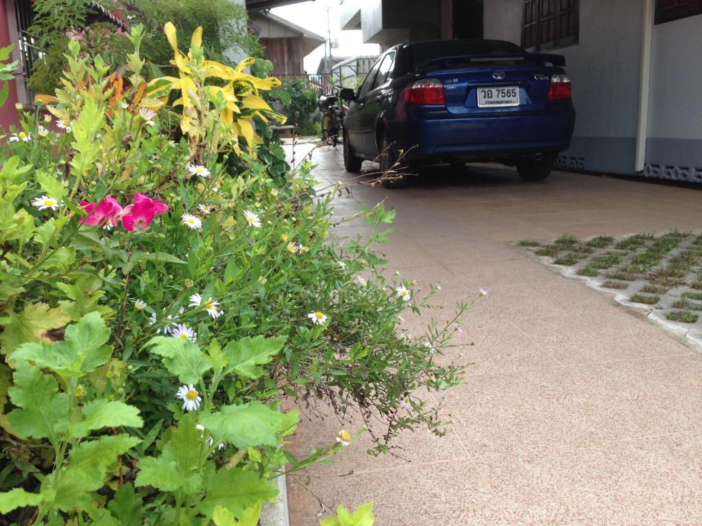 Zahrada ubytování พืชไทยเชียงคาน(Plantthai)
