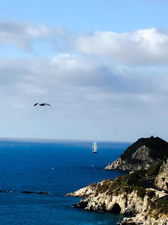 a bird flying over the ocean with a ship in the distance at Casa del sasso in Bergeggi