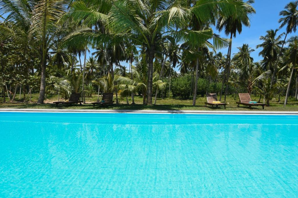 Bazén v ubytování Ambarella Lodge - Katunayake nebo v jeho okolí