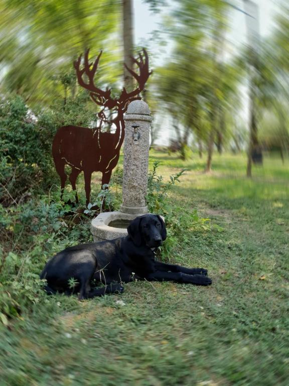 a black dog laying in the grass next to a statue at Landhaus Steirerengel - Ferien &amp; Jagd in Lócs