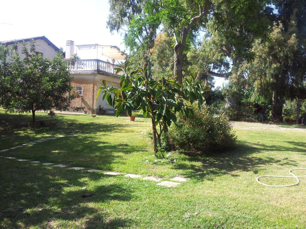 a yard with a house and a tree in the grass at Agriturismo Il Casotto in Maida
